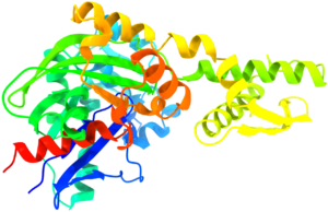  Peptide antimikrobiale të rikonstruktuara nga proteina 160 milionë vjeçare