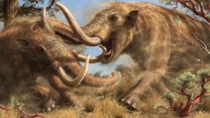 Një studiuese në Kaliforni zbuloi rastësisht një dhëmb molar të një mastodonti të Paqësorit, të ruajtur për rreth 10 mijë vjet.